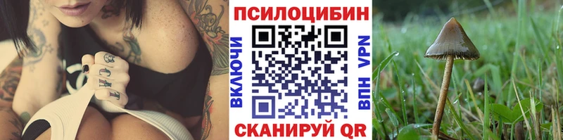 Галлюциногенные грибы MAGIC MUSHROOMS Ветлуга